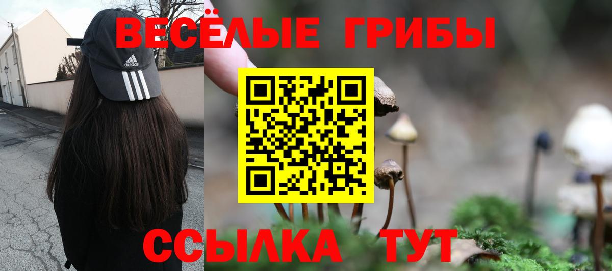 Белорецк  Псилоцибиновые грибы мицелий  Вход с VPN 